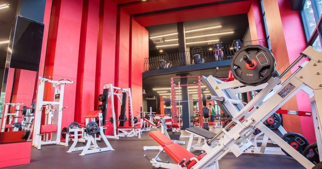 Alpha plus gym and fitness 1 alpha plus gym and fitness