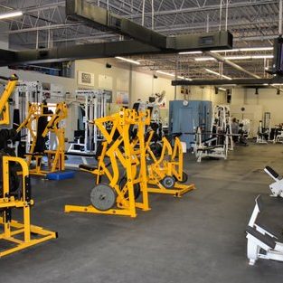 COLOSSEUM GYM 1 colosseum gym