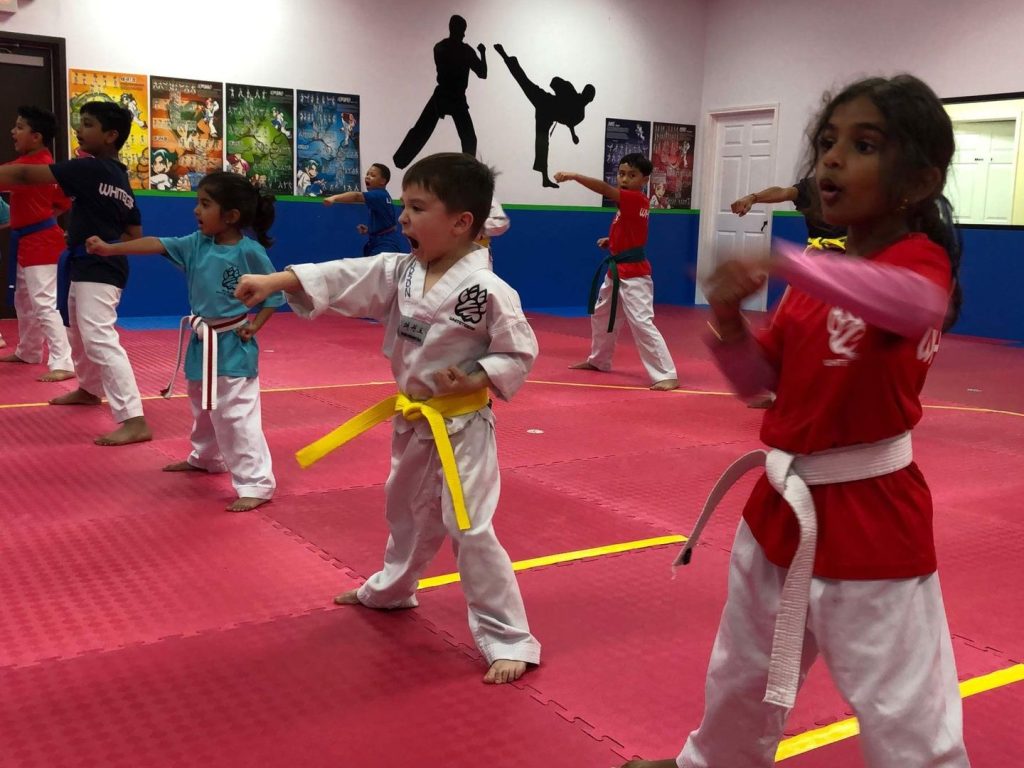 ELITE TIGERS MARTIAL ARTS GYM 1 elite tigers martial arts gym