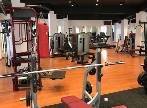 fitness kingdom