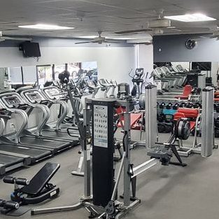 Gym Factory 1 gym factory