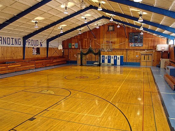 Gymnasium 1 gymnasium