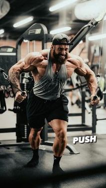 gymshot fitness