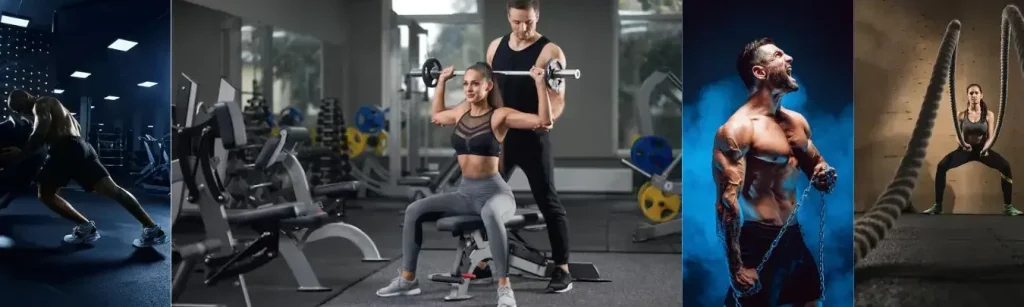 Iron Bull Gym 1 iron bull gym