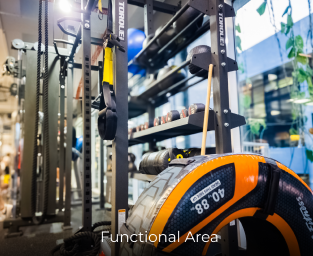 LifenFitness TTDI 1 lifenfitness ttdi