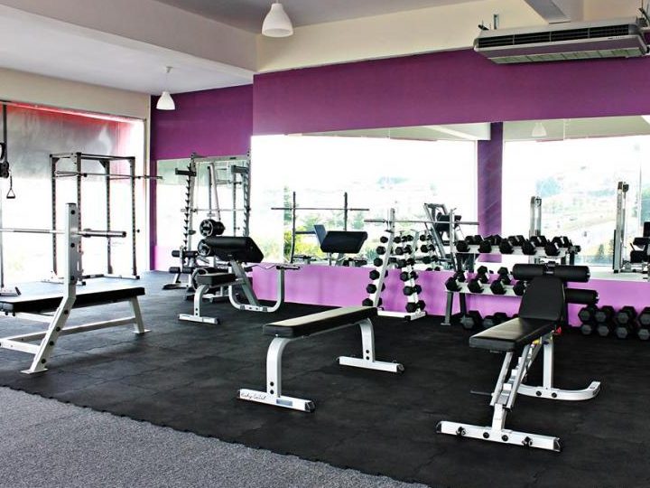 Musang Gym 1 musang gym