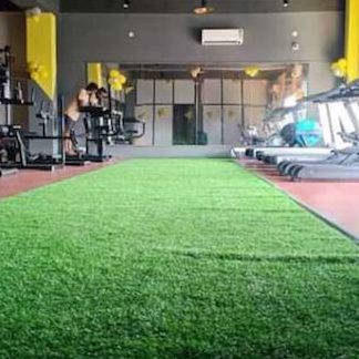 MuscleTone Fitness 1 muscletone fitness