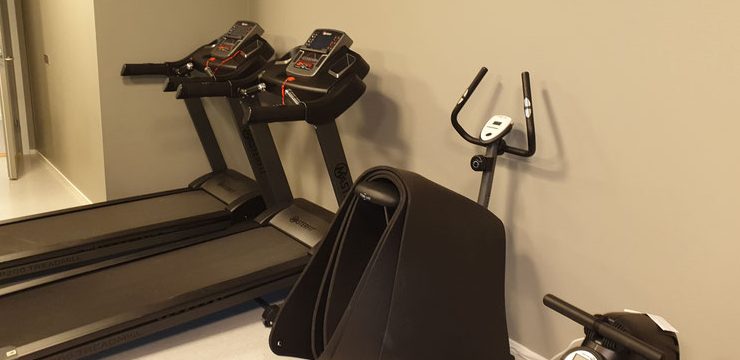ZP Gym 1 zp gym